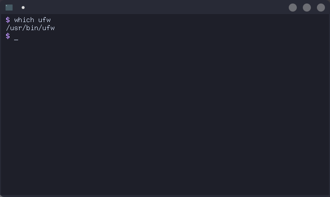 A demonstration of the output of $ which ufw showing that ufw is located at /usr/bin/ufw